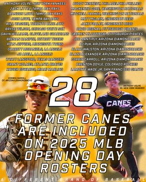 Image post by @thecanesbb on Instagram