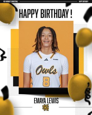 Image post by @ksuowlswbb on Instagram