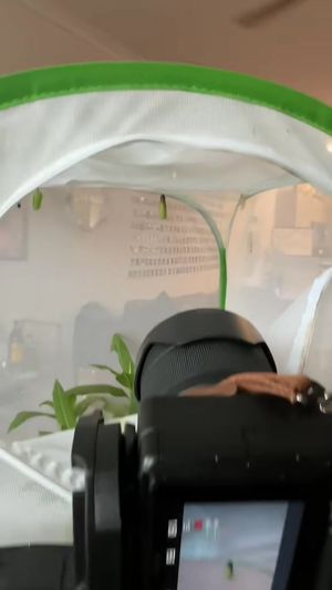 Video post by @b r o o k e🦈 on Facebook