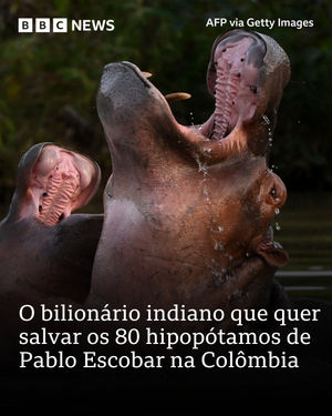 Image post by @bbcbrasil on Instagram