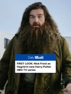 Image post by @dailymailuk on TikTok