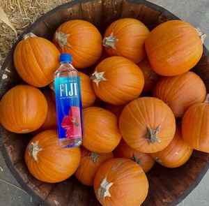 Image post by @fijiwater on Instagram