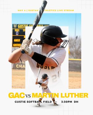 Image post by @gustiesoftball on Instagram