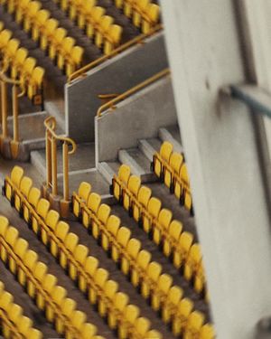 Image post by @wolves on Instagram