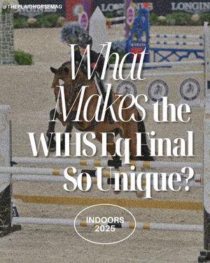 Image post by @theplaidhorsemag on Instagram