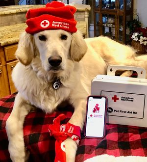 Image post by @americanredcross on Instagram