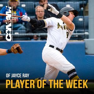 Image post by @sussexcountyminers on Instagram