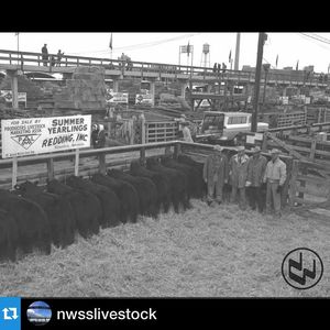 Image post by @nationalwestern on Instagram