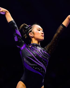 Image post by @lsugym on Instagram