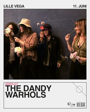 Image post by @thedandywarhols on Instagram