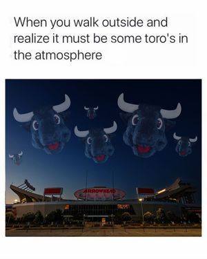 Image post by @texanstoro1 on Instagram