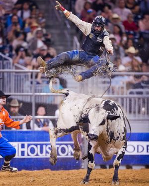 Image post by @rodeohouston on Instagram