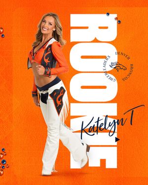 Image post by @denverbroncoscheer on Instagram