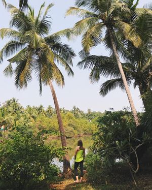 Image post by @kirstenalana on Instagram