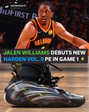 Image post by @soleretriever on Instagram