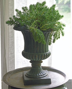 Image post by @ahs_gardening on Instagram