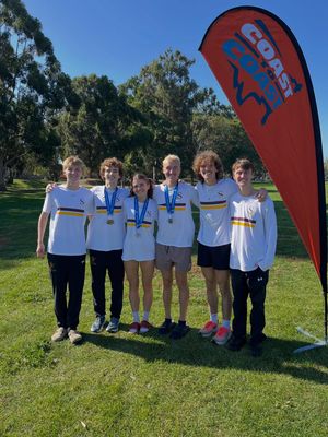 Image post by @suseagulls on Instagram