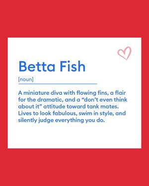 Image post by @petsmart on Instagram