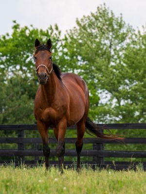 Image post by @coolmoreamerica on Instagram