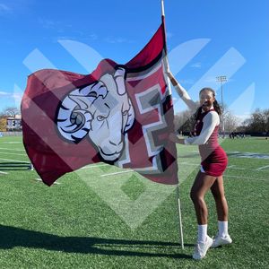 Image post by @fordhamcheer on Instagram