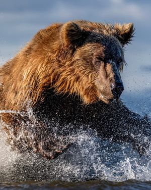 Image post by @sealegacy on Instagram