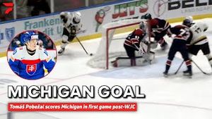 Video post by @flohockey on YouTube