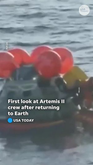 Video post by @usatoday on TikTok