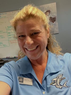 Image post by @ilmsharks on Instagram