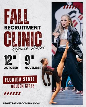 Image post by @fsugoldengirls on Instagram
