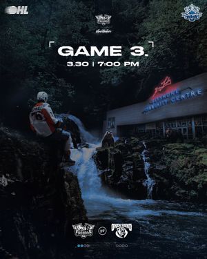 Image post by @flintfirebirds on Instagram