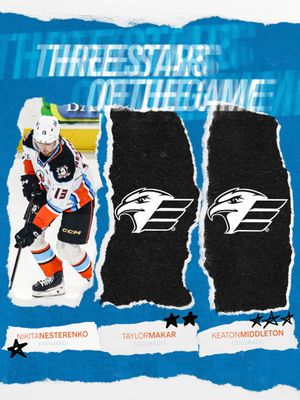 Image post by @SDGullsAHL on Twitter