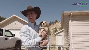 Video post by @PBR on YouTube