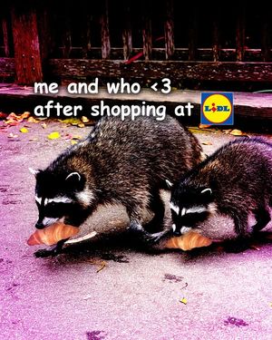 Image post by @LidlUS on Facebook