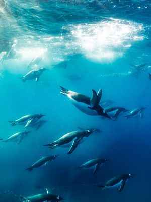 Image post by @fubiz on Instagram