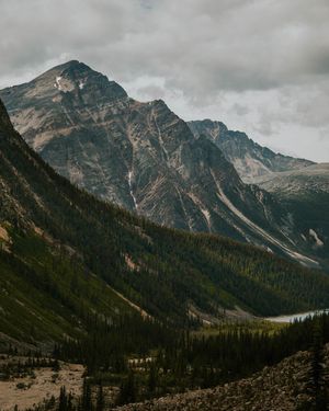 Image post by @rossvaughn_ on Instagram