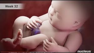 Video post by @nucleusmedicalmedia on YouTube