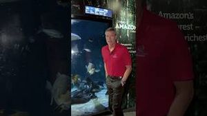 Video post by @abc on YouTube