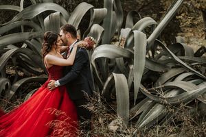 Image post by @alikaragozphoto on Instagram