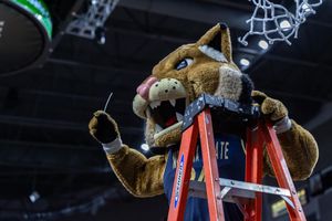 Image post by @champ_bobcat on Instagram