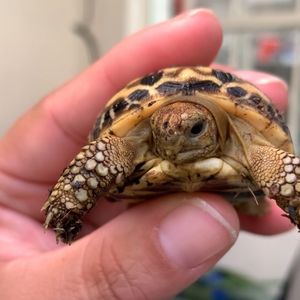 Image post by @sandiegozoo on Instagram