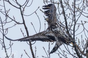 Image post by @jontenca on Instagram