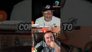 Video post by @dolphinstalk on YouTube
