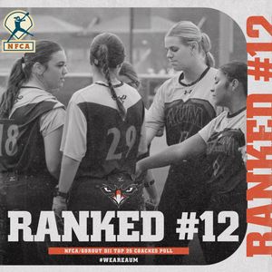 Image post by @aumwarhawkssb on Instagram