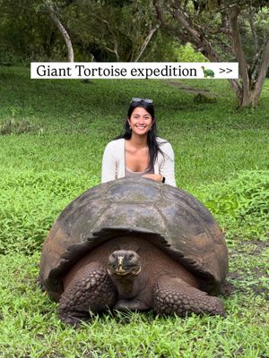 Image post by @supertoneyan on Instagram