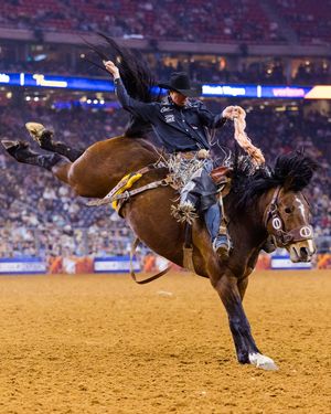 Image post by @rodeohouston on Instagram