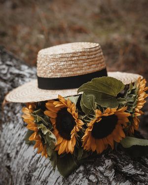 Image post by @kate.simple.life on Instagram