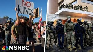 Video post by @msnbc on YouTube