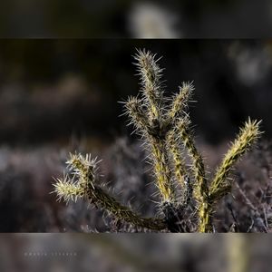 Image post by @lysakerphotos on Instagram