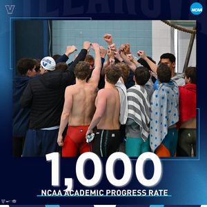 Image post by @novaswimdive on Instagram