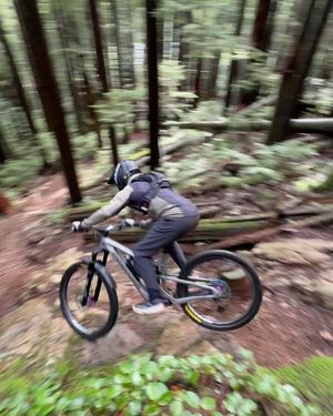 Image post by @remymetailler on Instagram